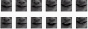 Image for - Lower Face Verification Centered on Lips using Correlation Filters