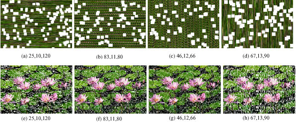 Image for - 2D Triangular Mappings and Their Applications in Scrambling Rectangle Image