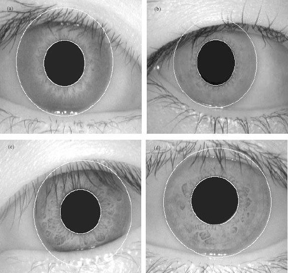 Image for - A New Technique for Iris Localization in Iris Recognition Systems