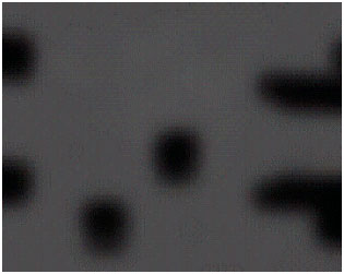 Image for - Application of Markov Random Field in Depth Information Estimation of Microscope Defocus Image
