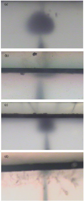 Image for - Influence of Silicon Carbide Composite Barrier on Electrical Tree Growth in Cross Linked Polyethylene Insulation