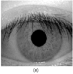 Image for - A New Localization Algorithm for Iris Recognition