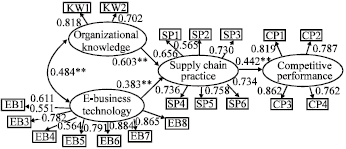 Image for - Successful Supply Chain Practices through Organizational Knowledge and E-Business Technology