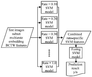 Image for - A Review on Detection of LSB Matching Steganography