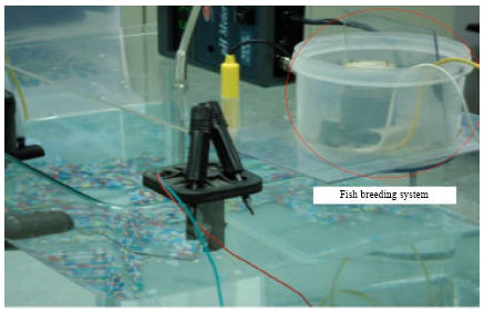 Image for - A Multi-functional Aquarium Equipped with Automatic Thermal Control/Fodder-Feeding/water Treatment using a Network Remote Control System
