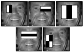 Image for - Entropy-Directed AdaBoost Algorithm with NBBP Features for Face Detection