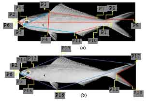 Image for - A Hybrid Memetic Algorithm with Back-propagation Classifier for Fish Classification Based on Robust Features Extraction from PLGF and Shape Measurements
