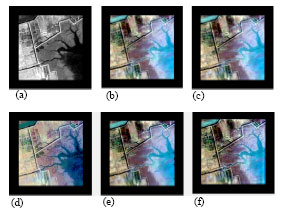 Image for - Wavelet-domain Hidden Markov Tree Model Approach to Fusion of Multispectral and Panchromatic Images
