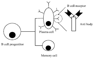 Image for - A Novel Pattern Recognition Approach Based on Immunology