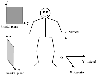 Image for - Omni-directional Walking Gait and Path Planning for Biped Humanoid Robot