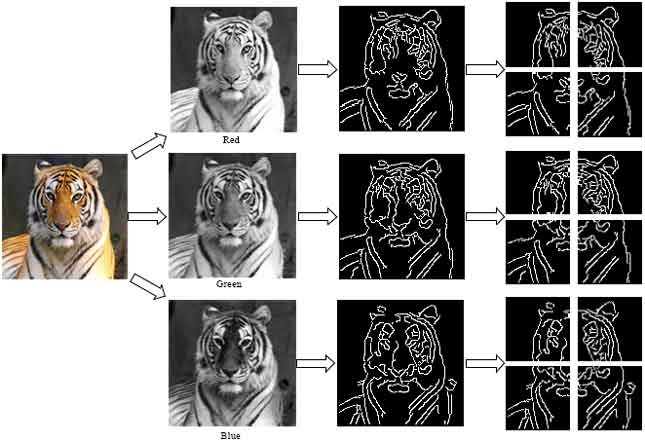 Image for - Design and Evaluation of Image Retrieval System Based on Three Color Edge Feature