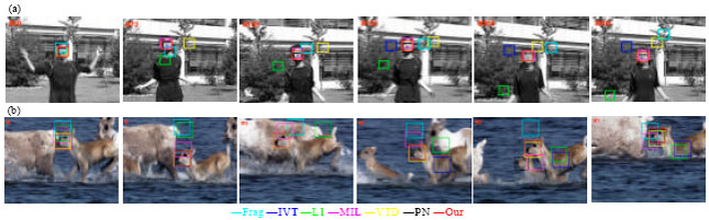 Image for - Visual Tracking Based on Sparse Representation in a Co-training Framework