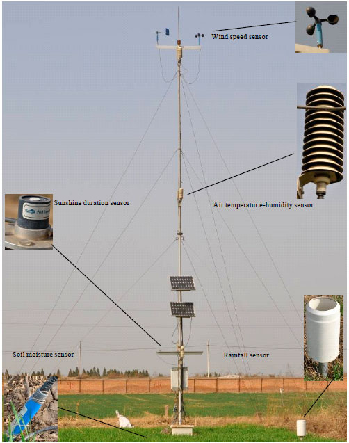 Image for - A Support System for Crop Water Requirement Diagnosis and Irrigation Decision Making
