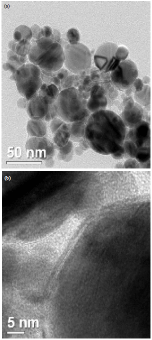 Image for - Simulation and Experiment for Microwave Absorption of Carbon-coated Nickel Nanoparticles Composites