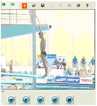 Image for - Diving Sports Auxiliary Training Video Analysis Research
