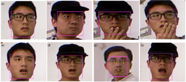 Image for - An Improved Conditional Regression Forests for Facial Feature Points Detection