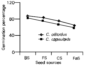 Image for - Study on Seed Quality Status and Fibre Yield of Different Seed Categories of Jute (Corchorus spp.)
