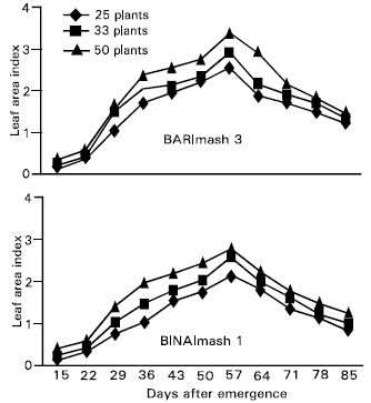 Image for - Influence of Plant Population Density on Growth and Yield of Two Blackgram Varieties