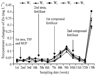 Image for - The Effect of Different Water Levels on Rice Yield and Cu and Zn Concentration