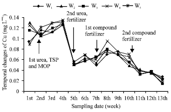 Image for - The Effect of Different Water Levels on Rice Yield and Cu and Zn Concentration