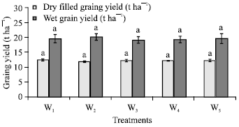 Image for - Low Water Rice Production and its Effect on Redox Potential and Soil pH
