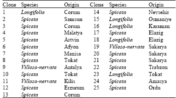 Image for - Variation of Yield, Essential Oil and Carvone Contents in Clones Selected from  Carvone-scented Landraces of Turkish Mentha Species