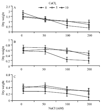 Image for - Effect of Calcium/Sodium Ratio on Growth and Ion Relations of Alfalfa (Medicago sativa L.) Seedling Grown under Saline Condition