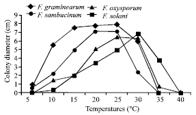 Image for - Effect of Temperature on Aggressivity of Tunisian Fusarium species Causing Potato (Solanum tuberosum L.) Tuber Dry Rot