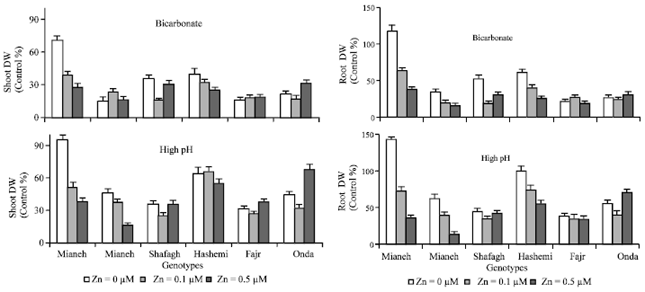 Image for - Zinc Efficiency is Not Related to Bicarbonate Tolerance in Iranian Rice Cultivars