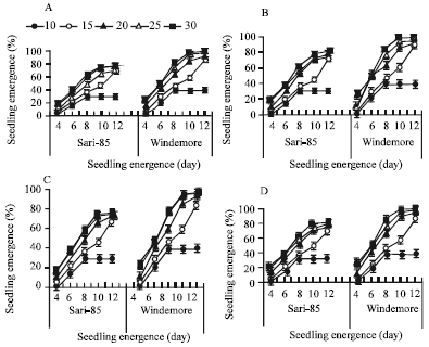 Image for - Effect of Temperature and Photoperiod on Seedling Emergence of Flax (Linum usitatissimum L.)