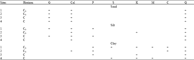 Image for - Impact of Intensive Leaching on Some Clay Minerals of the Soils from Al Hassa Oasis, Saudi Arabia