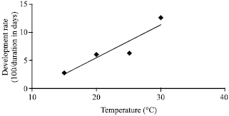 Image for - Simulation of Temperature Effect on the Population Dynamic of the Mediterranean Fruit Fly Ceratitis capitata (Diptera; Tephritidae)