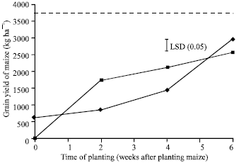 Image for - Time of Planting Mucuna and Canavalia in an Intercrop System with Maize