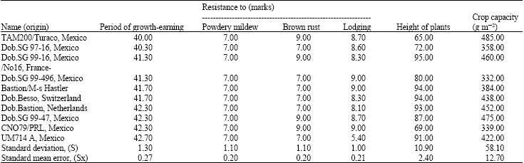 Image for - Early-Ripeness and Resistance of Summer Soft Wheat to Sicknesses