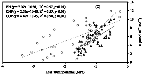 Image for - Comparison of Water Relations, Leaf Gas Exchange and Assimilation of Three Grain Legumes under Reproductive Period Water Deficit