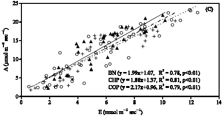 Image for - Comparison of Water Relations, Leaf Gas Exchange and Assimilation of Three Grain Legumes under Reproductive Period Water Deficit