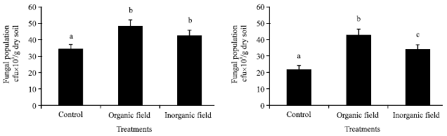 Image for - Impact of Organic and Inorganic Fertilizers on Microbial Populations and Biomass Carbon in Paddy Field Soil