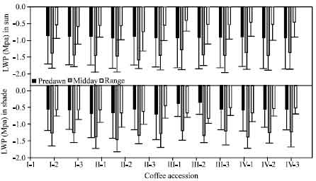 Image for - Variations in Leaf Water Potential in the Wild Ethiopian Coffea arabica Accessions under Contrasting Nursery Environments