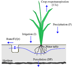 Image for - Estimation of Water Balance Components in Paddy Fields under Non-Flooded Irrigation Regimes by using Excel Solver