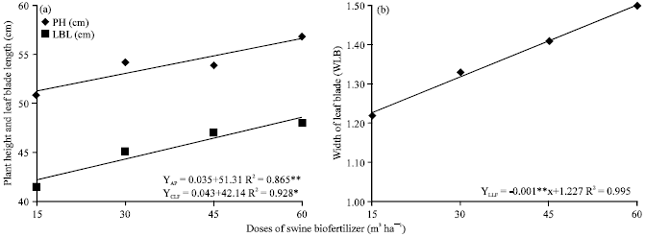 Image for - Effect of Different Doses of Swine Biofertilizer in the Development and  Production of Cultivars of Brachiaria brizantha