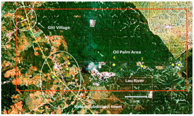 Image for - Changes in Water Table Depth in an Oil Palm Plantation and its Surrounding Regions in Sumatra, Indonesia