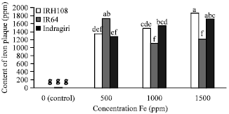 Image for - Endurance Test of Three Paddy Genotypes to Different Iron Toxicity Level