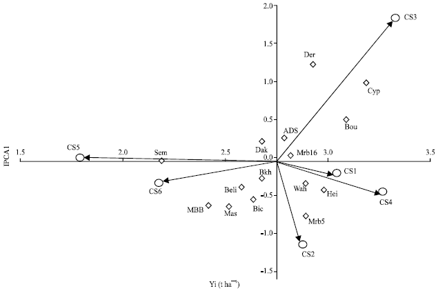 Image for - Stability Analysis of Durum Wheat (Triticum durum Desf.) Grain Yield