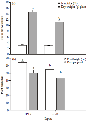 Image for - On Farm Yield Responses of Soybean [Glycine max L. (Merrill)] to Fertilizer Sources Under Different Soil Acidity Status in Gobu Sayo District, Western Ethiopia