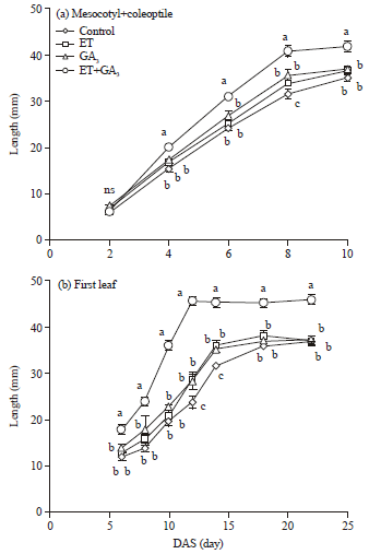 Image for - Synergistic Effects of Ethephon and Gibberellic Acid on the Growth of Rice Seedlings Grown under Field and Environmentally Controlled Conditions