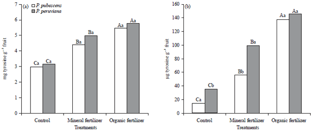 Image for - Effects of Mineral and Organic Nitrogen on Chemical Characteristics of Physalis Fruits