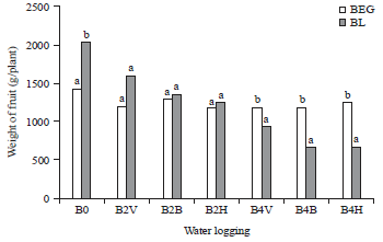 Image for - Effect of Water logging Duration on Growth Phases of Tomatoes(Solanum lycopersicum L.) Grafted on Eggplant Rootstock