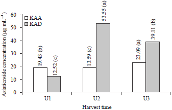Image for - Effect of Harvest Time on Bioactive Compounds of Field-cultivated Centella asiatica (L) Urban