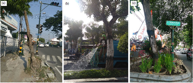 Image for - Productive Urban Landscape through Urban Trees on Roadside Greenery of Yogyakarta City