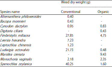Image for - Weeds Diversity of Lowland Rice (Oryza sativa L.) with Different
farming System in Purwakarta Regency Indonesia